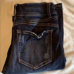 Daytrip High Rise Skinny Jeans